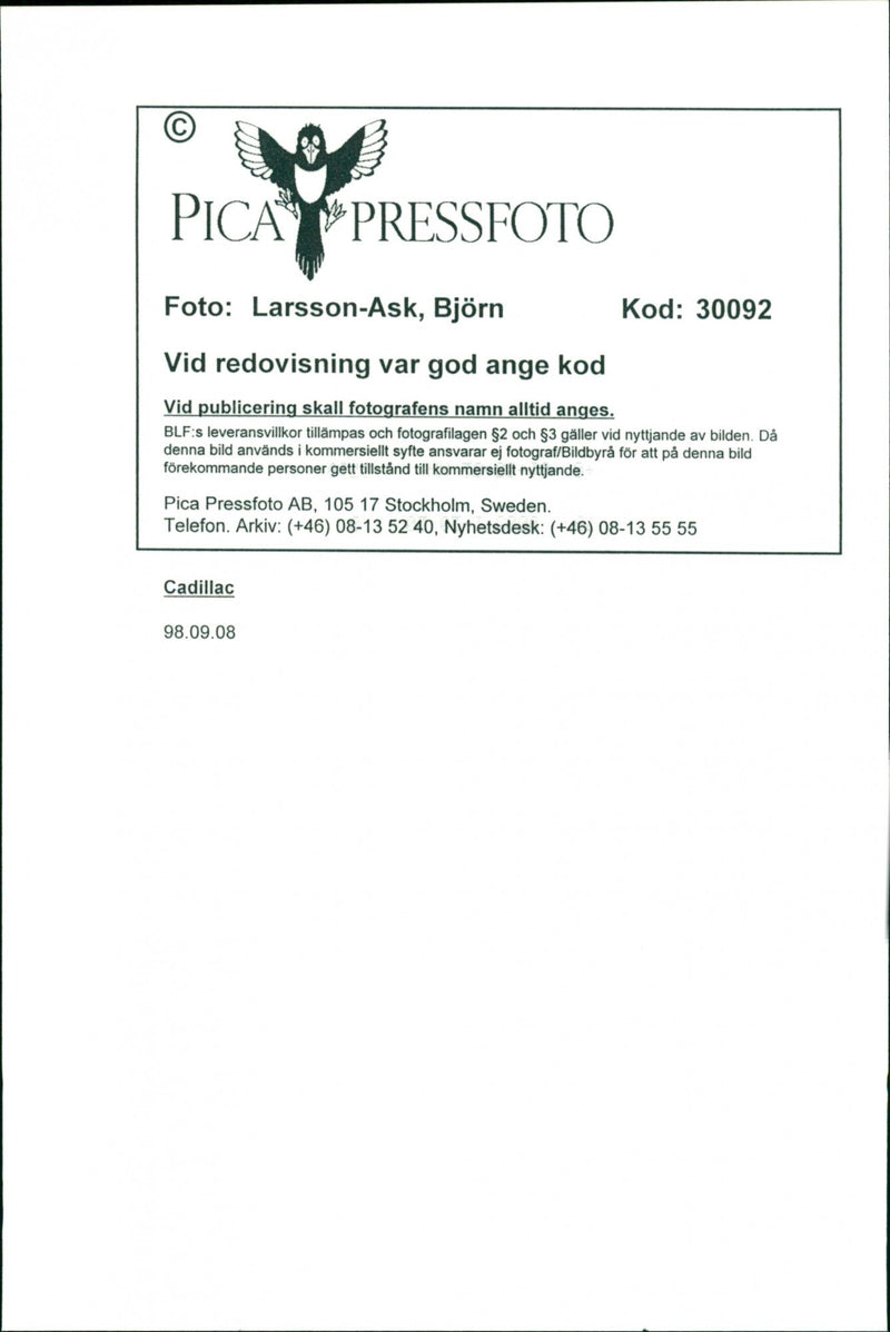 Cadillac Cars - Vintage Photograph