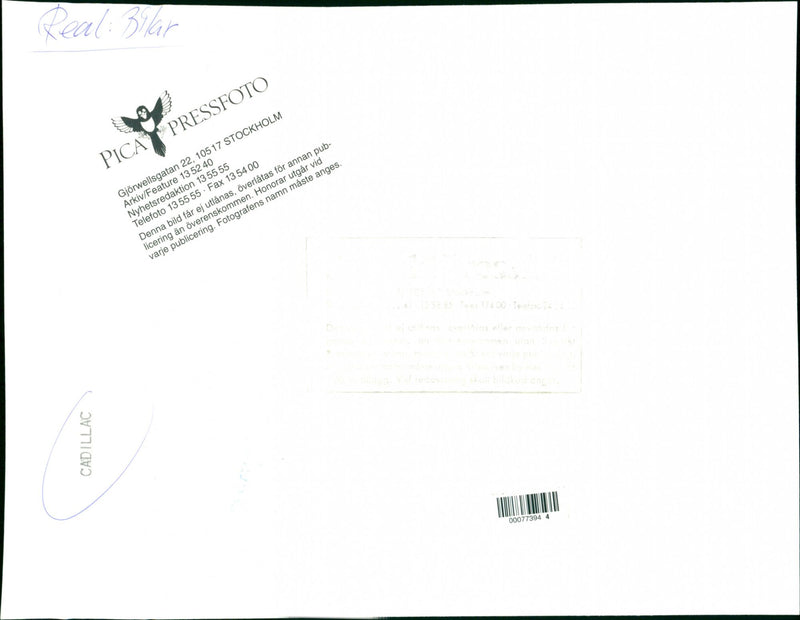 Cadillac Cars - Vintage Photograph