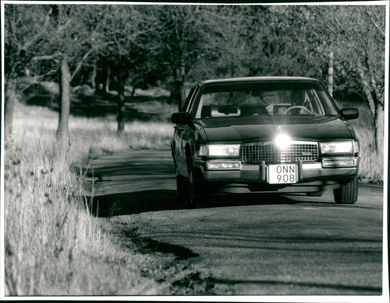 Cadillac Cars - Vintage Photograph