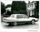 Cadillac Cars - Vintage Photograph