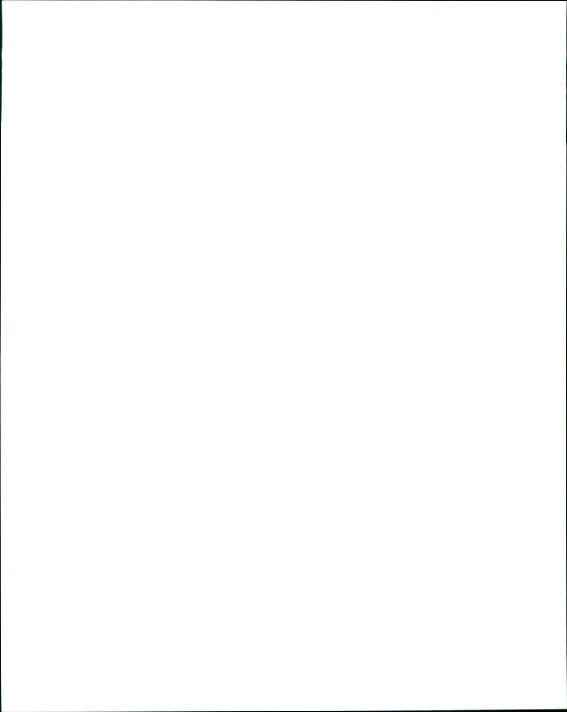 Cadillac Cars - Vintage Photograph