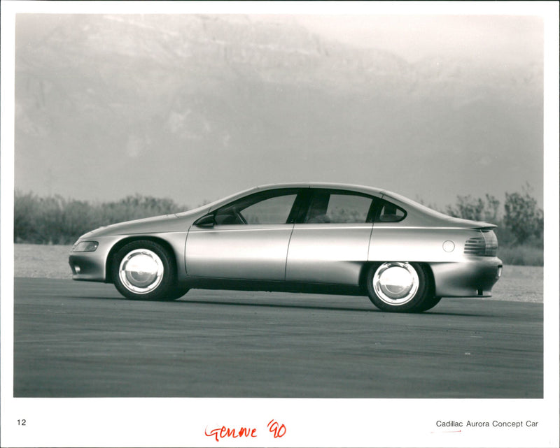 Cadillac Cars - Vintage Photograph