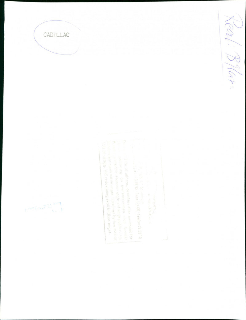 Cadillac Cars - Vintage Photograph