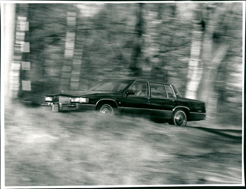 Cadillac Cars - Vintage Photograph