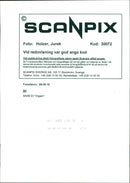 CARS: Instrument etc - Vintage Photograph