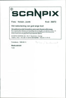 Mazda Cabriolet - Vintage Photograph