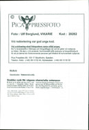 Cars: Old Cars - Vintage Photograph