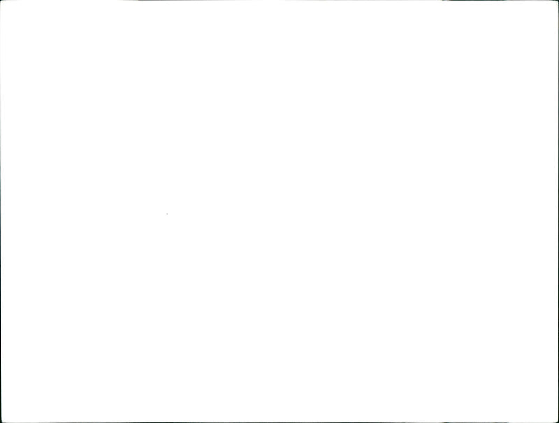 Cars : Old Cars - Vintage Photograph