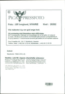 Cars : Old Cars - Vintage Photograph