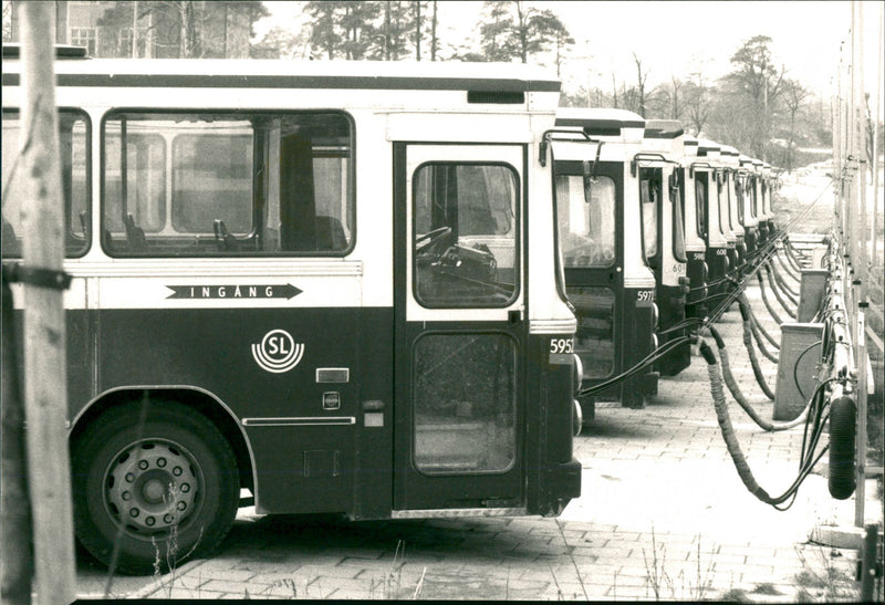 Car: Buses - Vintage Photograph