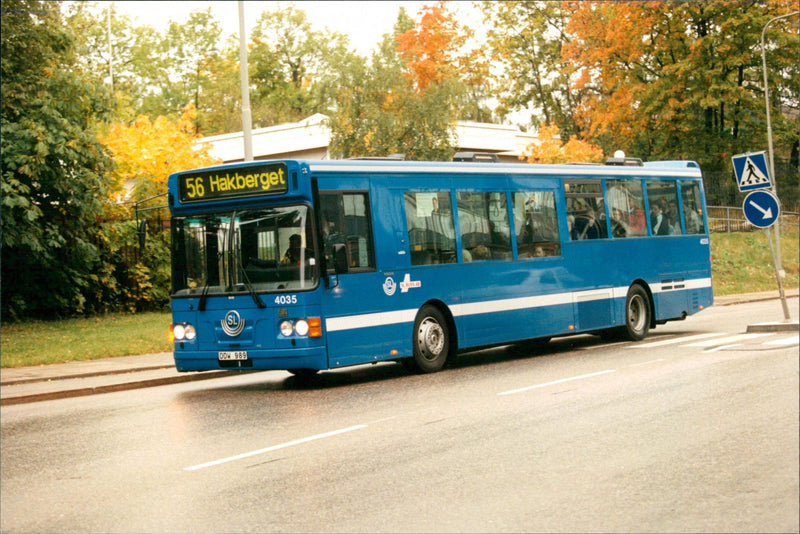 Car: Buses - Vintage Photograph