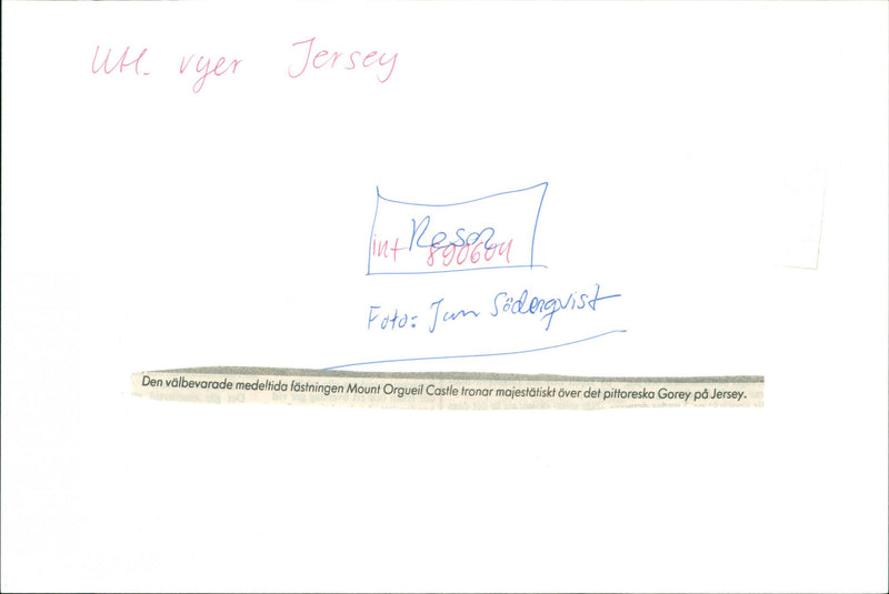 Jersey. - Vintage Photograph
