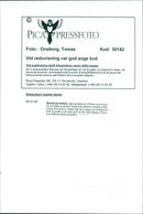 Women's basketball - Vintage Photograph