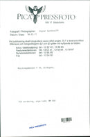 Army: Music Platoon - Vintage Photograph