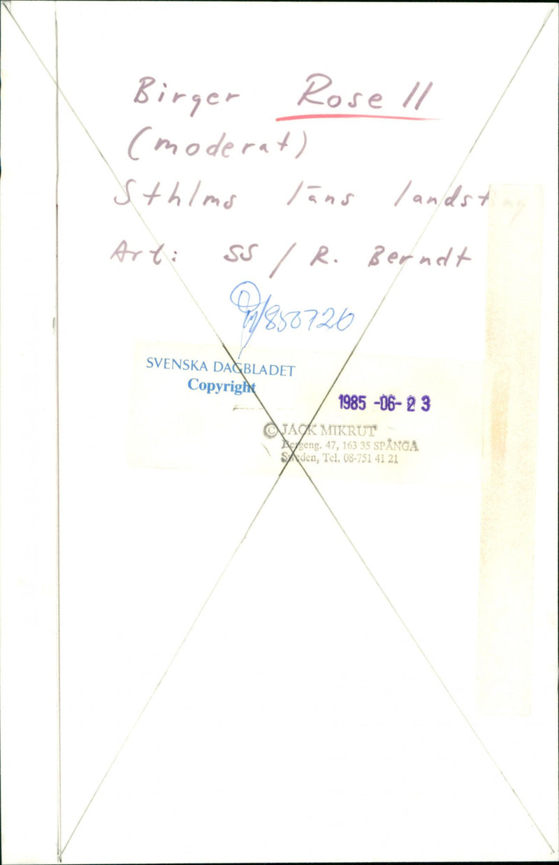 Birger Rosell, swedish politician. - Vintage Photograph