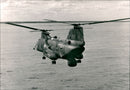 Marine: Helicopter - Vintage Photograph
