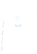 1990 YVONNE ASELL PHOTO REAL ANIMAL - Vintage Photograph