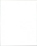 First flight the two seater JAS 39 B Gripen. - Vintage Photograph