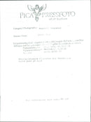 Mikhail Sholokhov and Lucia - Vintage Photograph