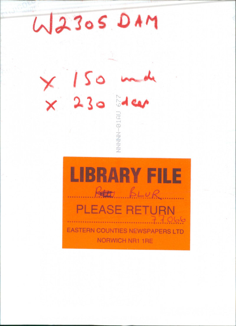 Blur singer Damon Albarn on stage - Vintage Photograph