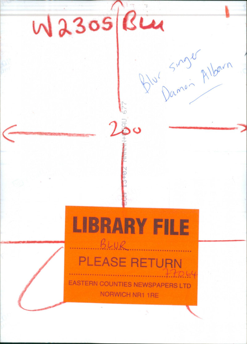 Blur singer Damon Albarn on stage - Vintage Photograph