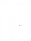 Willie Carson, rider. - Vintage Photograph