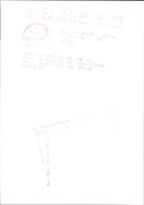 Steve Cauthen - Vintage Photograph