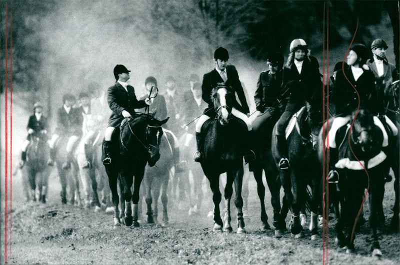 Sports, Various Horse, - Vintage Photograph
