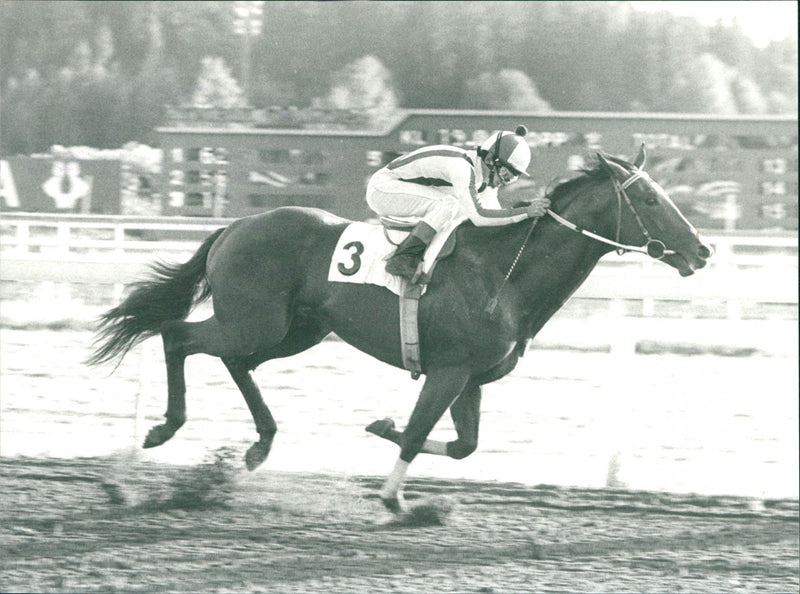 The Crystal Air Norwegian horse wins in TÃ¤bys ands V5 race - Vintage Photograph