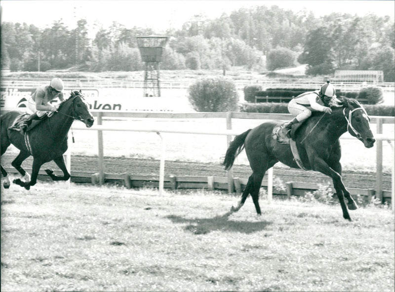 Horse Silvestro canter with Fernando Diaz in the saddle wins Stockholm Cup at TÃ¤by - Vintage Photograph