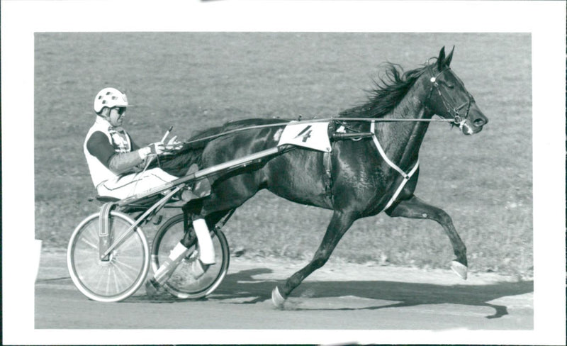 Trotters, Park Avenue Kathy - Vintage Photograph