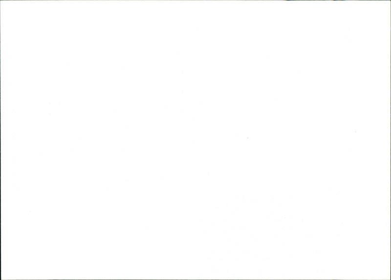 1962 FOOT SWEDISH BIRDS REEDS STAVLO ARTHUR ARCHIVE LAND LANDSCAPE DUBLADETS CHARA - Vintage Photograph