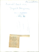 Ingrid Bergman and the musical's writer Lionel Bart were among the parquet audience at the Oscars Theater - Vintage Photograph
