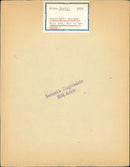 Prince Bertil (Bertil Gustaf Oskar Carl Eugen) Duke of Halland 1950 - Vintage Photograph