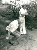 Prince Bertil (Bertil Gustaf Oskar Carl Eugen) Duke of Halland Playing Boule - Vintage Photograph