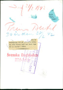 The Royal House Prince Bertil, (Bertil Gustaf Oskar Carl Eugén) Duke of Halland Cooks - Vintage Photograph