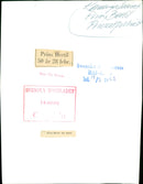 The Royal House Prince Bertil, (Bertil Gustaf Oskar Carl Eugén) Duke of Halland at his 50th Birthday - Vintage Photograph