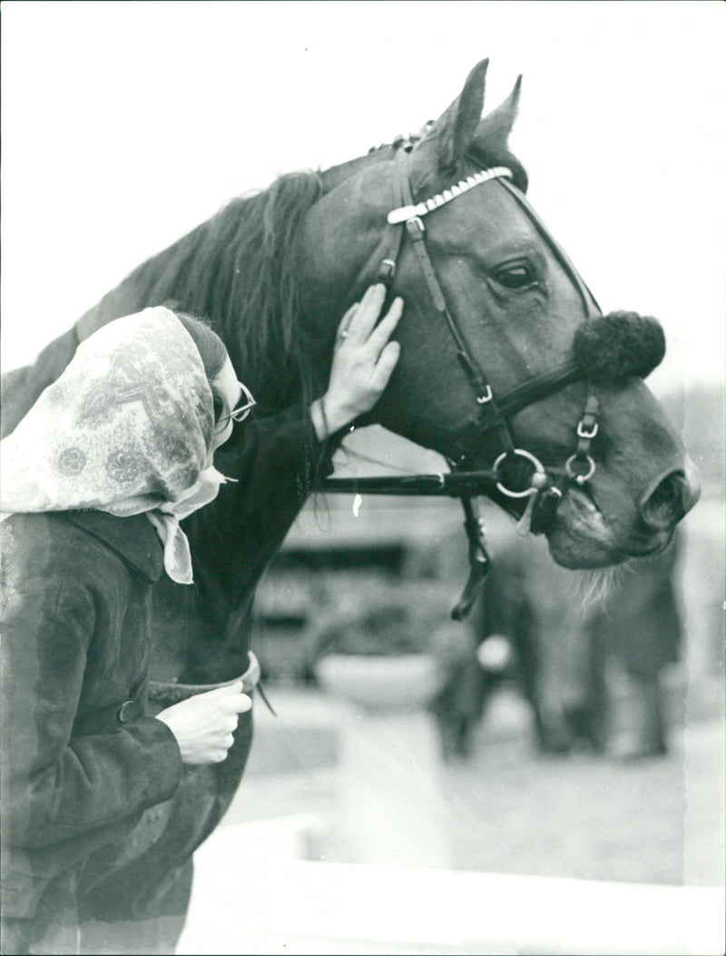 Merceno - Vintage Photograph