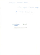 Meadow Road, Equestrianism. - Vintage Photograph