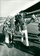 Meadow Road, Equestrianism. - Vintage Photograph