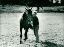 Meadow Road, Equestrianism. - Vintage Photograph
