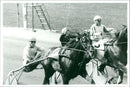 Meadow Road, Equestrianism. - Vintage Photograph