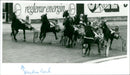 Meadow Road, Equestrianism. - Vintage Photograph