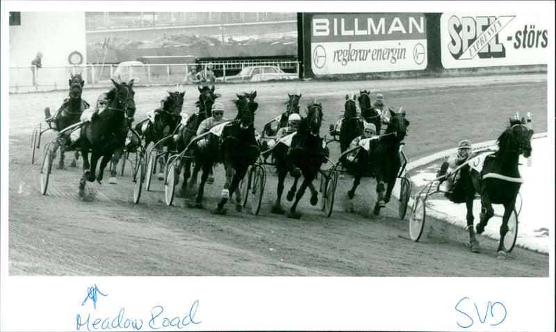 Meadow Road, Equestrianism. - Vintage Photograph