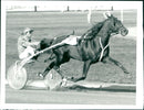 Meadow Road, Equestrianism. - Vintage Photograph