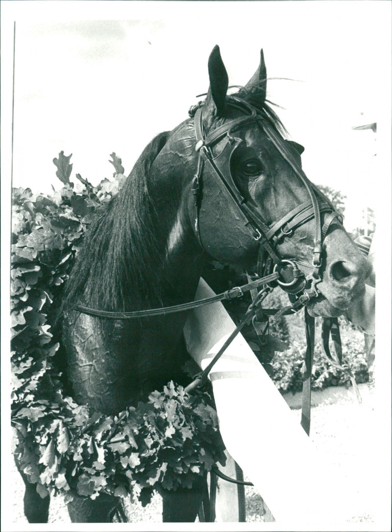 "Uno Swed" at Madison Avenue - Vintage Photograph