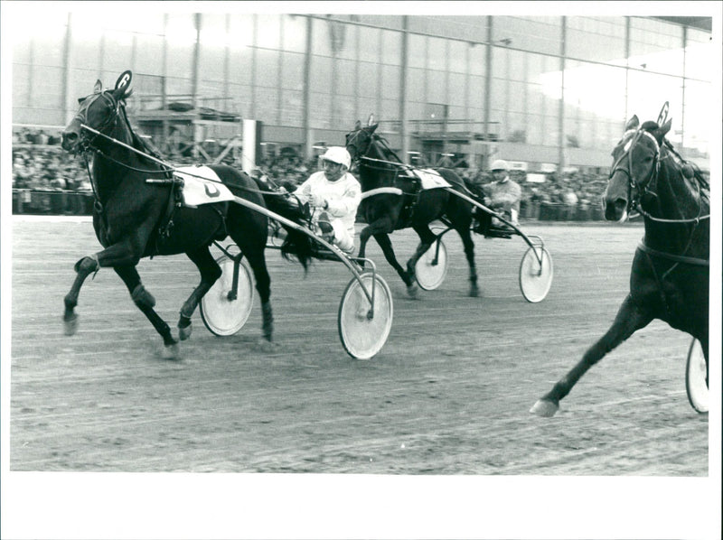 "Uno Swed" at Madison Avenue - Vintage Photograph