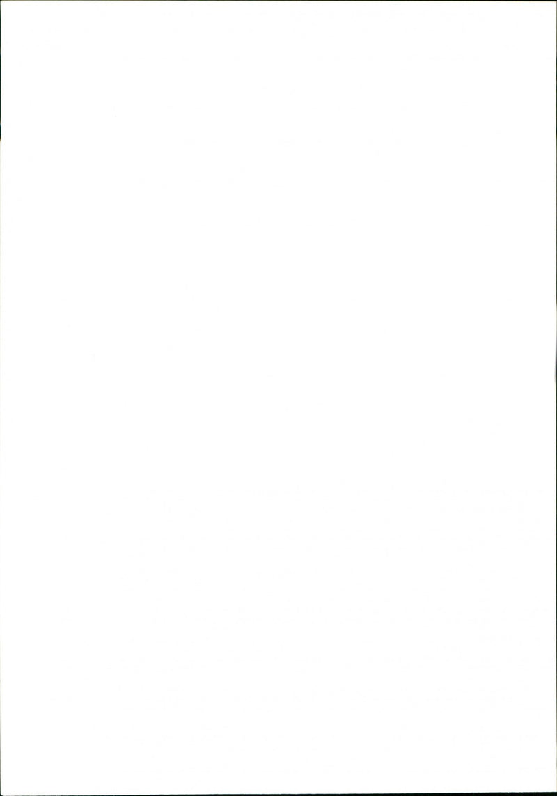 Dogs. - Vintage Photograph