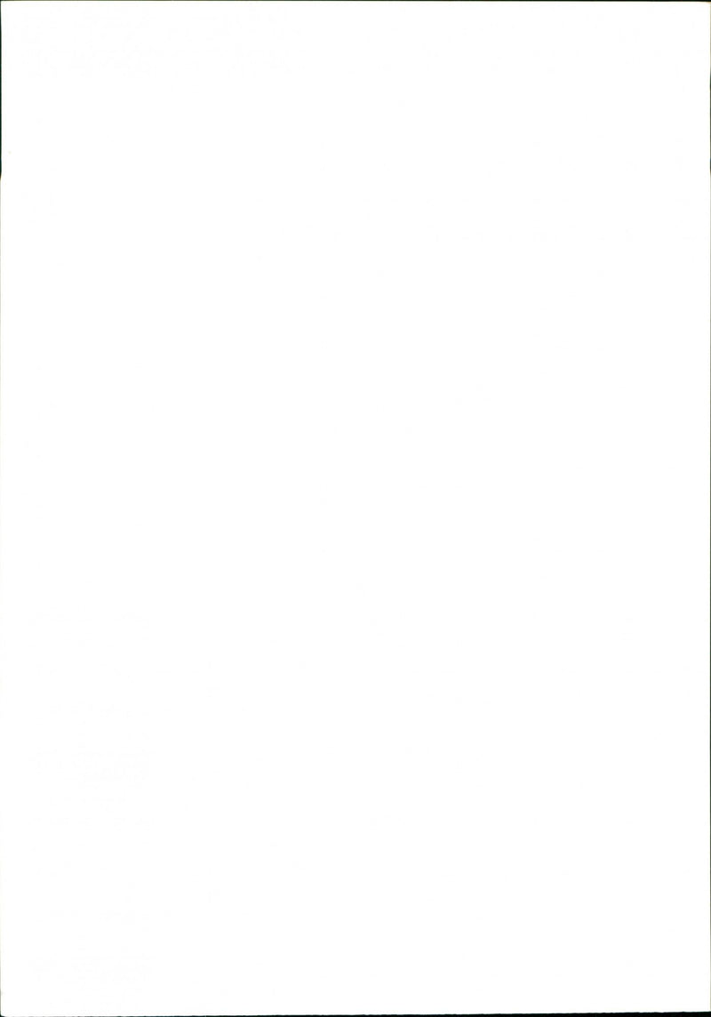 Dogs. - Vintage Photograph