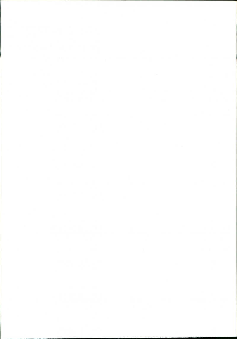 Dogs. - Vintage Photograph